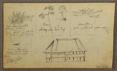 Rysunek, Fort; Verso: Szkice botaniczne, Dom, 1857 r. autorstwa Frederic Edwin Church