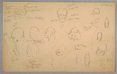 Rysunek, badania anatomiczne, 1865-70 autorstwa Frederic Edwin Church
