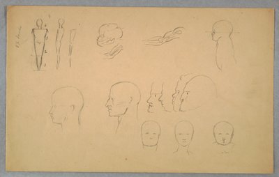 Rysunek, badania anatomiczne, 1865-70 autorstwa Frederic Edwin Church