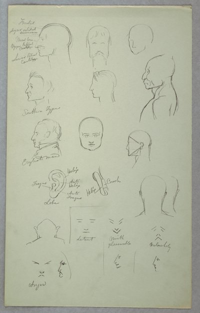 Rysunek, badania anatomiczne, 1865-70 autorstwa Frederic Edwin Church