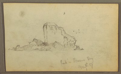 Rysunek, Bireds, "Skała w Zatoce Panamskiej"; Verso: "Ciężkie winorośle", 15 maja 1857 r. autorstwa Frederic Edwin Church