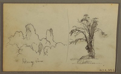 Rysunek, Bireds, "Skała w Zatoce Panamskiej"; Verso: "Ciężkie winorośle", 15 maja 1857 r. autorstwa Frederic Edwin Church