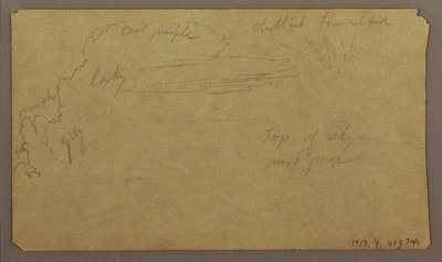Rysunek, Szkice botaniczne; Verso: Chmury, lipiec 1865 r. autorstwa Frederic Edwin Church