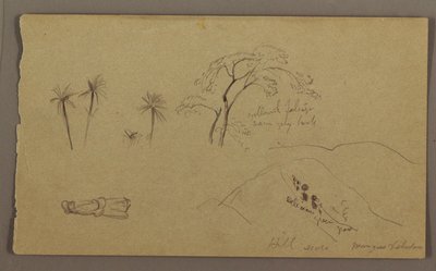 Rysunek, szkice botaniczne, postać, maj-sierpień 1865 r. autorstwa Frederic Edwin Church