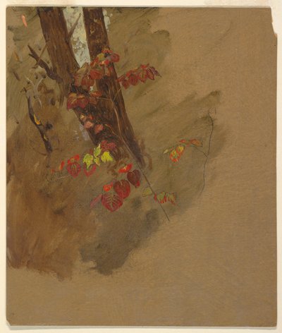 Rysunek, studia botaniczne, 1860-70 autorstwa Frederic Edwin Church