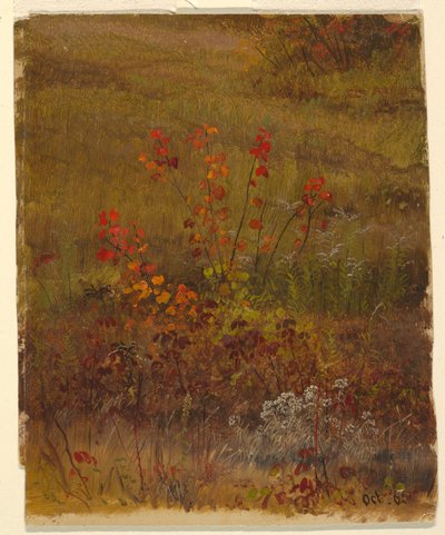 Rysunek, studia botaniczne, październik 1865 r. autorstwa Frederic Edwin Church