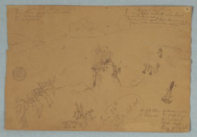 Rysunek. Szkice botaniczne i chmurowe w pobliżu Quito w Ekwadorze autorstwa Frederic Edwin Church