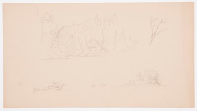 Rysunek, Szkice botaniczne: drzewo, drzewa na brzegu, wrzesień 1876 r. autorstwa Frederic Edwin Church