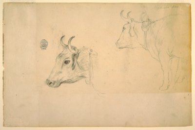 Rysunek, Bydło, wrzesień 1844 r. autorstwa Frederic Edwin Church