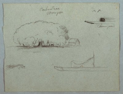 Rysunek, drzewo ceiba w Mompos, kajak Champan, drzewa i częściowo łódź, Rio Magdelena, Kolumbia, 1853, prawdopodobnie maj autorstwa Frederic Edwin Church