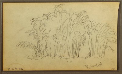 Rysunek, Krowy w krajobrazie; Verso: Bambus, 1857 autorstwa Frederic Edwin Church