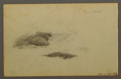 Rysunek, spróchniała brzoza, 1844 r. autorstwa Frederic Edwin Church