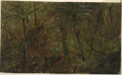 Rysunek, W lesie Jamacia, Indie Zachodnie, 1865 r. autorstwa Frederic Edwin Church