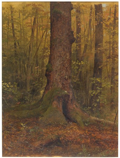 Rysunek, W lesie, prawdopodobnie Maine, 1850-60 autorstwa Frederic Edwin Church