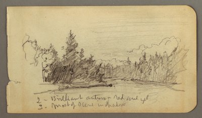 Rysunek, jezioro otoczone drzewami, prawdopodobnie 1878 r. autorstwa Frederic Edwin Church