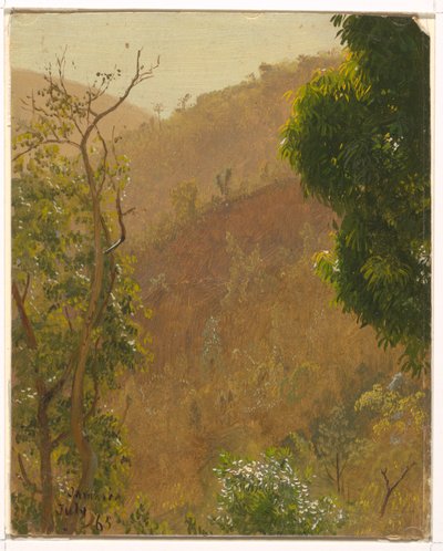 Rysunek, krajobraz, lipiec 1865 r. autorstwa Frederic Edwin Church