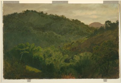 Rysunek, Pejzaż z Jamajki, Indie Zachodnie, 1865 r. autorstwa Frederic Edwin Church