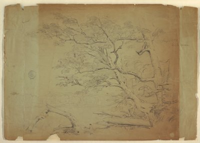 Rysunek, Krajobraz z drzewami i strumieniem [], wyspa Grand Manan, Kanada, wrzesień 1851 r. autorstwa Frederic Edwin Church