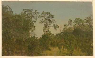 Rysunek, krajobrazy, lipiec 1865 r. autorstwa Frederic Edwin Church