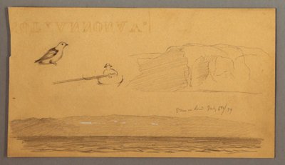 Rysunek, człowiek w łodzi, ptak, klify, wybrzeże, 6 lipca 1859 r. autorstwa Frederic Edwin Church