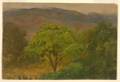 Rysunek, Krajobraz górski, sierpień 1865 r. autorstwa Frederic Edwin Church