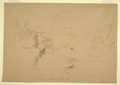 Rysunek, Wodospad Niagara, widok z Koziej Wyspy, 19 marca 1856 r. autorstwa Frederic Edwin Church