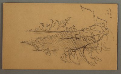 Rysunek, sosny, prawdopodobnie 1868 r. autorstwa Frederic Edwin Church