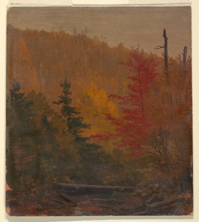 Rysunek, prawdopodobnie w pobliżu Katahdin, jesień, 1865-70 autorstwa Frederic Edwin Church