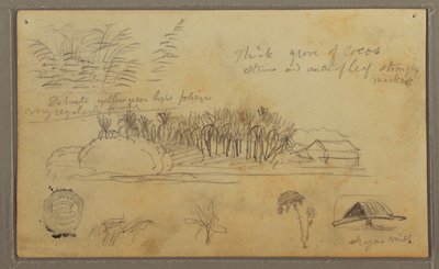 Rysunek, Szkice, Ekwador lub Kolumbia; Verso: Szkice, Ekwador lub Kolumbia, 1857 r. autorstwa Frederic Edwin Church