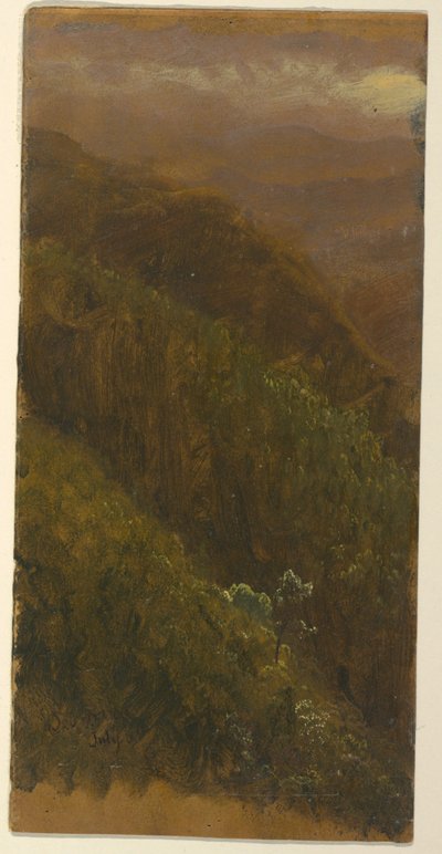 Rysunek, strome zbocze, lipiec 1865 r. autorstwa Frederic Edwin Church
