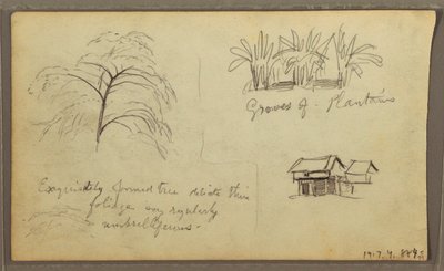 Rysunek, róg ulicy w Guaquil, Ekwador; Verso: Szkice botaniczne, dom, Ekwador lub Kolumbia, 1857 r. autorstwa Frederic Edwin Church