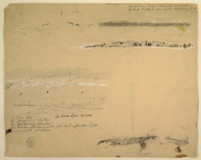 Rysunek przedstawiający mewy, skaliste wybrzeże i zachmurzone niebo, Great Manan, Kanada, wrzesień 1851 r. autorstwa Frederic Edwin Church
