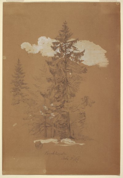 Rysunek, Drzewa, Berchtesgaden, Bawaria, 3 lipca 1868 r. autorstwa Frederic Edwin Church