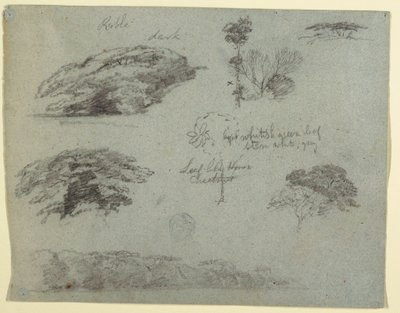 Rysunek, Drzewa, wierzchołki drzew i zalesiony brzeg, Saddleback, Maine, 1853 r. autorstwa Frederic Edwin Church