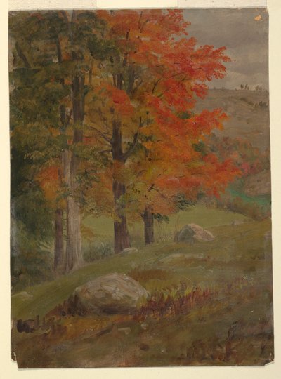 Rysunek, Las jesienią, 1865 r. autorstwa Frederic Edwin Church