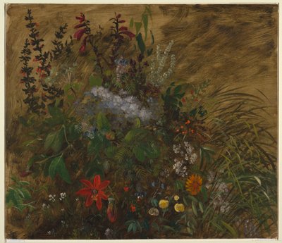 Kwiaty na Jamajce autorstwa Frederic Edwin Church