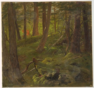Las na Jamajce autorstwa Frederic Edwin Church