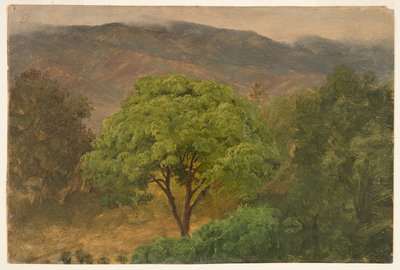 Drzewo Genip w górach, Jamajka autorstwa Frederic Edwin Church