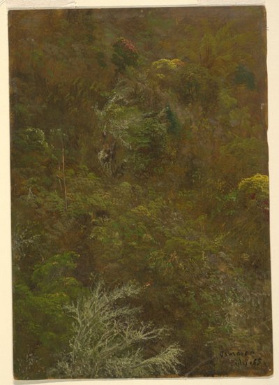 Wzgórze z drzewami, Jamajka autorstwa Frederic Edwin Church