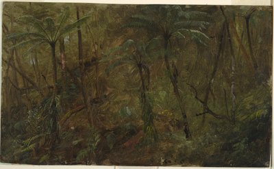 W lesie, Jamajka autorstwa Frederic Edwin Church