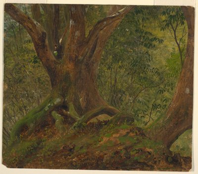 W lesie, Jamajka autorstwa Frederic Edwin Church