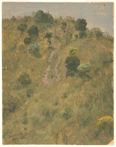Krajobraz, Jamajka autorstwa Frederic Edwin Church