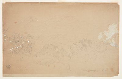 Krajobraz w pobliżu Guaranda, Ekwador autorstwa Frederic Edwin Church