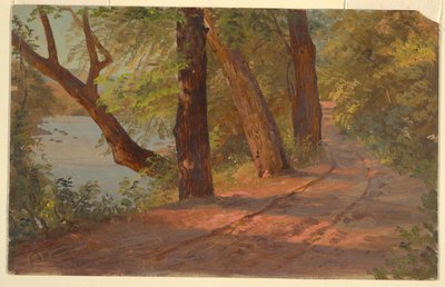 Krajobraz z Ameryki Północnej (Droga nad jeziorem) autorstwa Frederic Edwin Church