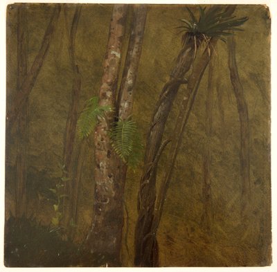 Krajobraz na Jamajce autorstwa Frederic Edwin Church