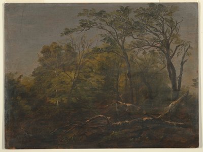 Lasy Maine autorstwa Frederic Edwin Church