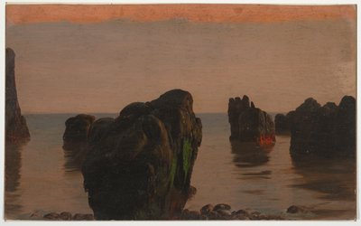 Skały i mech z Grand Manan autorstwa Frederic Edwin Church