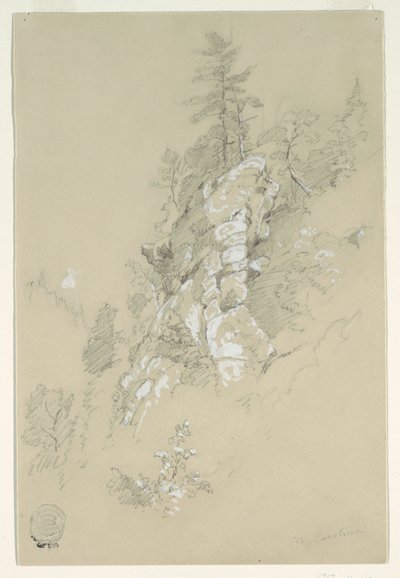 Rocky Hillside, Karolina Północna autorstwa Frederic Edwin Church
