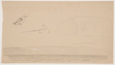 Szkice z Labrador of Snow on Land, Man in Boat i Bird autorstwa Frederic Edwin Church
