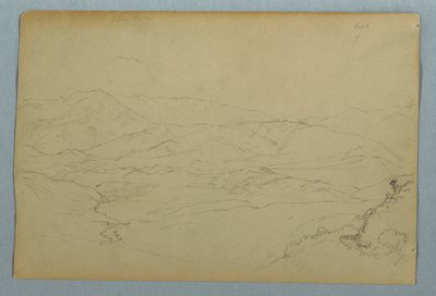 Szkice roślin i części balustrady graniczącej z tarasem w gospodzie w Guaranda, Ekwador autorstwa Frederic Edwin Church